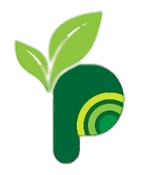 Parayil Logo (color)